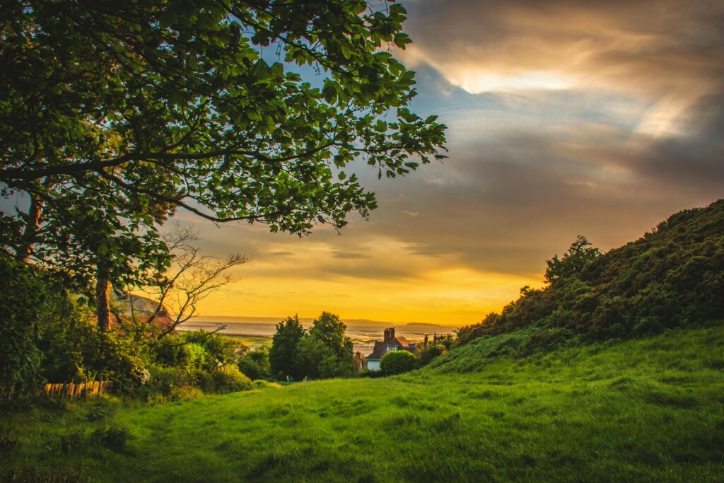 Countryside sunset with trees and fields